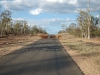 cattle-road08