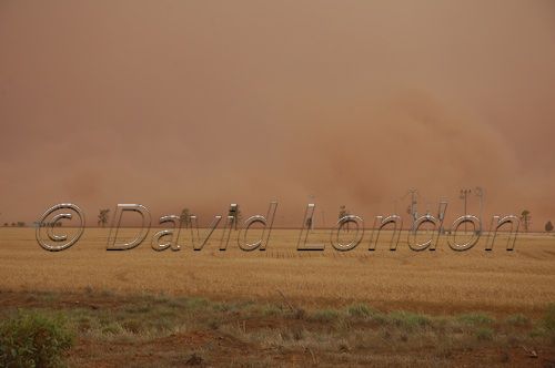 dust-storm204