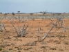 arid-landscape08