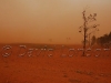 dust-storm188