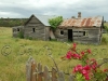 cottage ruins72