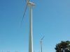 wind-farm15