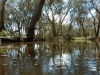 flood-creek81