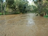 floods Qld31